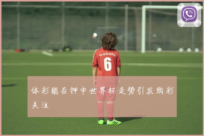 体彩能否押中世界杯走势引发购彩关注