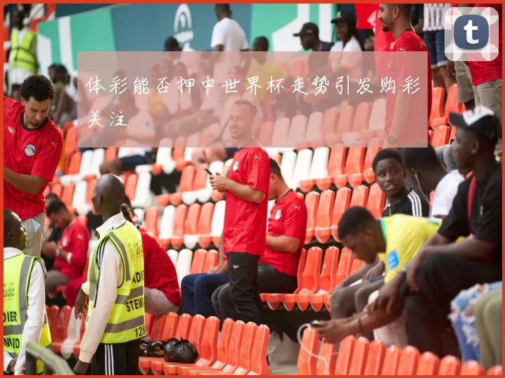 体彩能否押中世界杯走势引发购彩关注