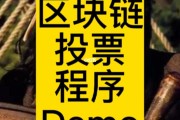区块链投票限制id吗(区块链需要经过几轮投票)